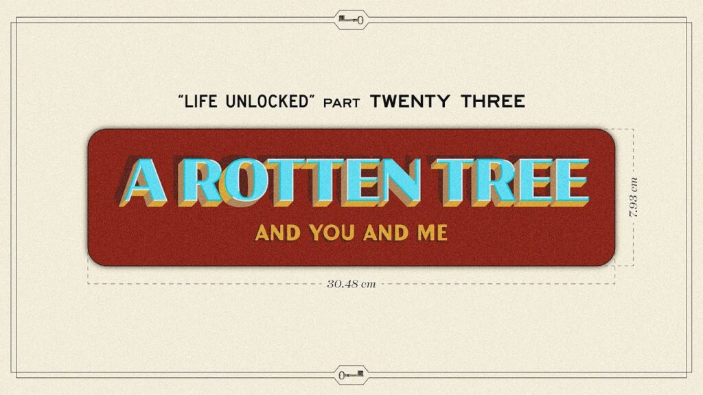 A Rotten Tree and You and Me
